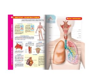 8935 *Atlas Visual del Cuerpo Humano* (24x32 cm.) 64 Pág. - Imagen 2