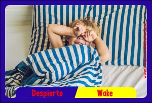 MD0590 *Rutinas en Casa ESPAÑOL/INGLES* (14x9 cm.) 17 Tarjetas Fotográficas GRANDES. - Imagen 2