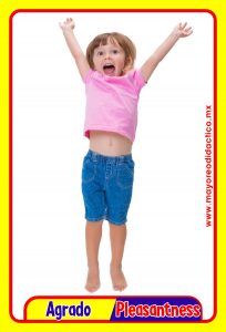 MD0591 *Emociones y Sentimientos ESPAÑOL/INGLES* (14x9 cm.) 17 Tarjetas Fotográficas GRANDES. - Imagen 2