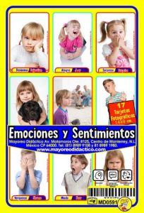 MD0591 *Emociones y Sentimientos ESPAÑOL/INGLES* (14x9 cm.) 17 Tarjetas Fotográficas GRANDES. - Imagen 18