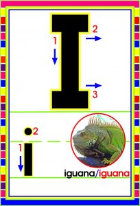 MD592 *Abecedario Asociado a/Animales Reales* (14x9 cm.) 29 Tarjetas. - Imagen 11