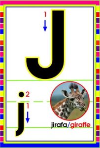 MD592 *Abecedario Asociado a/Animales Reales* (14x9 cm.) 29 Tarjetas. - Imagen 12