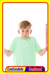 MD0591 *Emociones y Sentimientos ESPAÑOL/INGLES* (14x9 cm.) 17 Tarjetas Fotográficas GRANDES. - Imagen 11