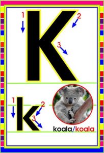 MD592 *Abecedario Asociado a/Animales Reales* (14x9 cm.) 29 Tarjetas. - Imagen 13