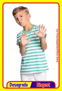 MD0591 *Emociones y Sentimientos ESPAÑOL/INGLES* (14x9 cm.) 17 Tarjetas Fotográficas GRANDES. - Imagen 12