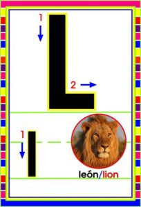 MD592 *Abecedario Asociado a/Animales Reales* (14x9 cm.) 29 Tarjetas. - Imagen 14