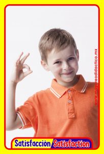 MD0591 *Emociones y Sentimientos ESPAÑOL/INGLES* (14x9 cm.) 17 Tarjetas Fotográficas GRANDES. - Imagen 13