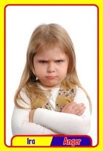 MD0591 *Emociones y Sentimientos ESPAÑOL/INGLES* (14x9 cm.) 17 Tarjetas Fotográficas GRANDES.