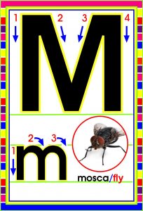 MD592 *Abecedario Asociado a/Animales Reales* (14x9 cm.) 29 Tarjetas. - Imagen 16