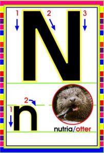 MD592 *Abecedario Asociado a/Animales Reales* (14x9 cm.) 29 Tarjetas. - Imagen 17