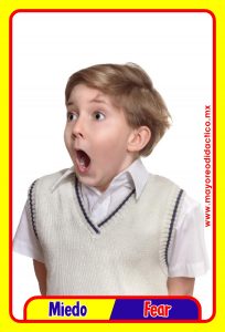 MD0591 *Emociones y Sentimientos ESPAÑOL/INGLES* (14x9 cm.) 17 Tarjetas Fotográficas GRANDES. - Imagen 16