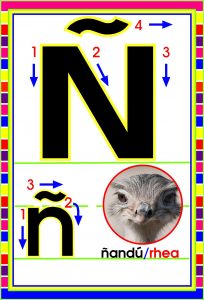 MD592 *Abecedario Asociado a/Animales Reales* (14x9 cm.) 29 Tarjetas. - Imagen 18