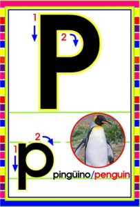 MD592 *Abecedario Asociado a/Animales Reales* (14x9 cm.) 29 Tarjetas. - Imagen 20