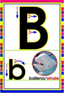 MD592 *Abecedario Asociado a/Animales Reales* (14x9 cm.) 29 Tarjetas. - Imagen 3