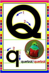 MD592 *Abecedario Asociado a/Animales Reales* (14x9 cm.) 29 Tarjetas. - Imagen 21