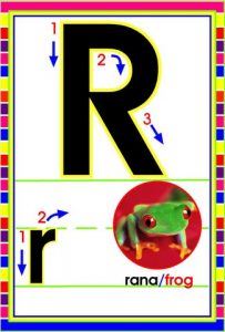 MD592 *Abecedario Asociado a/Animales Reales* (14x9 cm.) 29 Tarjetas. - Imagen 22