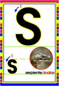 MD592 *Abecedario Asociado a/Animales Reales* (14x9 cm.) 29 Tarjetas. - Imagen 23