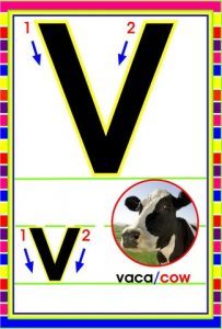 MD592 *Abecedario Asociado a/Animales Reales* (14x9 cm.) 29 Tarjetas.