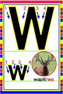 MD592 *Abecedario Asociado a/Animales Reales* (14x9 cm.) 29 Tarjetas. - Imagen 26