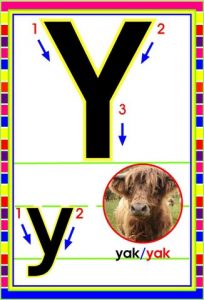 MD592 *Abecedario Asociado a/Animales Reales* (14x9 cm.) 29 Tarjetas. - Imagen 28