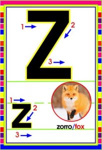 MD592 *Abecedario Asociado a/Animales Reales* (14x9 cm.) 29 Tarjetas. - Imagen 29