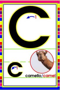 MD592 *Abecedario Asociado a/Animales Reales* (14x9 cm.) 29 Tarjetas. - Imagen 4