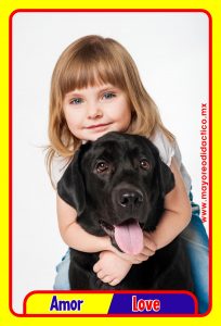 MD0591 *Emociones y Sentimientos ESPAÑOL/INGLES* (14x9 cm.) 17 Tarjetas Fotográficas GRANDES. - Imagen 4