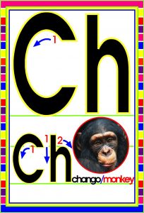 MD592 *Abecedario Asociado a/Animales Reales* (14x9 cm.) 29 Tarjetas. - Imagen 5