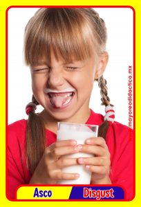 MD0591 *Emociones y Sentimientos ESPAÑOL/INGLES* (14x9 cm.) 17 Tarjetas Fotográficas GRANDES. - Imagen 5