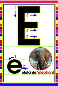 MD592 *Abecedario Asociado a/Animales Reales* (14x9 cm.) 29 Tarjetas. - Imagen 7