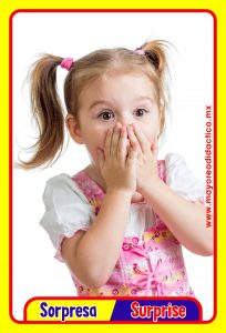 MD0591 *Emociones y Sentimientos ESPAÑOL/INGLES* (14x9 cm.) 17 Tarjetas Fotográficas GRANDES. - Imagen 6