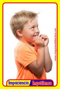 MD0591 *Emociones y Sentimientos ESPAÑOL/INGLES* (14x9 cm.) 17 Tarjetas Fotográficas GRANDES. - Imagen 7