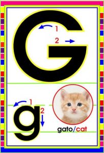 MD592 *Abecedario Asociado a/Animales Reales* (14x9 cm.) 29 Tarjetas. - Imagen 9