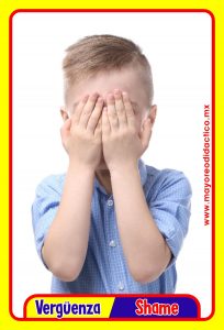 MD0591 *Emociones y Sentimientos ESPAÑOL/INGLES* (14x9 cm.) 17 Tarjetas Fotográficas GRANDES. - Imagen 8