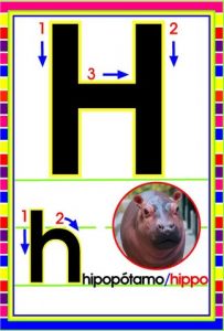 MD592 *Abecedario Asociado a/Animales Reales* (14x9 cm.) 29 Tarjetas. - Imagen 10