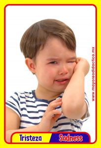 MD0591 *Emociones y Sentimientos ESPAÑOL/INGLES* (14x9 cm.) 17 Tarjetas Fotográficas GRANDES. - Imagen 9