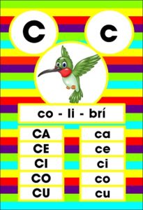 MD595 *Sílabas y Vocales* (14x9 cm.) 29 Tarjetas. - Imagen 8