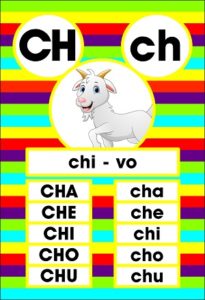 MD595 *Sílabas y Vocales* (14x9 cm.) 29 Tarjetas. - Imagen 9