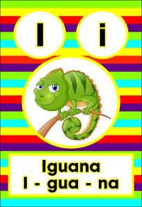 MD595 *Sílabas y Vocales* (14x9 cm.) 29 Tarjetas. - Imagen 4