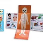 2028 *Mi Libro del Cuerpo Humano* (23x28 cm.) 10 Pág.