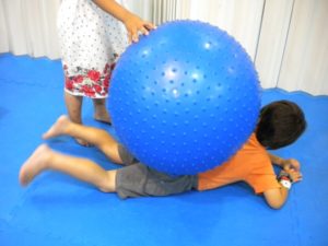 0339 *Pelota Sensorial GIGANTE* (100 cm.) Plata y Morada. - Imagen 5