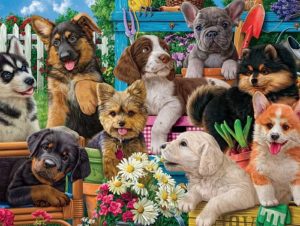 3358 *Dog Days Rompecabezas e/Caja de 750 Pcs.* (61x46 cm.) - Imagen 2