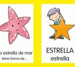 6127 *COLORES Y FORMAS Libro de Cartón c/Espiral* (14x22 cm.) 60 Pág. - Imagen 3