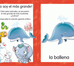 6103 *ANIMALES Libro de Cartón c/Espiral* (14x22 cm.) 60 Pág. - Imagen 4