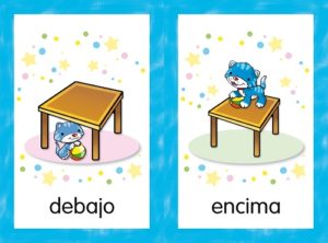 6110 *CONTRARIOS Libro de Cartón c/Espiral* (14x22 cm.) 60 Pág. - Imagen 4