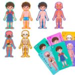 9964 *Partes y Sistemas de Cuerpo Humano Rompecabezas e/Caja* (26x18.5 cm.) 36 Pcs. NIÑO - Imagen 3