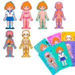 9964 *Partes y Sistemas de Cuerpo Humano Rompecabezas e/Caja* NIÑA - Imagen 3