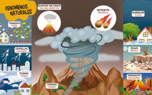 4334-4327 *El Mundo de la Naturaleza Libro d/Cartón* (16x20 cm.) 40 Pág. Español-Inglés. - Imagen 2