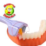 9353 *Cepillo de Dientes Sensorial* (3x19 cm.) INDIVIDUAL. - Imagen 3