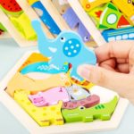 4200 *Campos Semánticos en Tetris Hexagonal* (20 cm.) 6 Diferentes. - Imagen 4